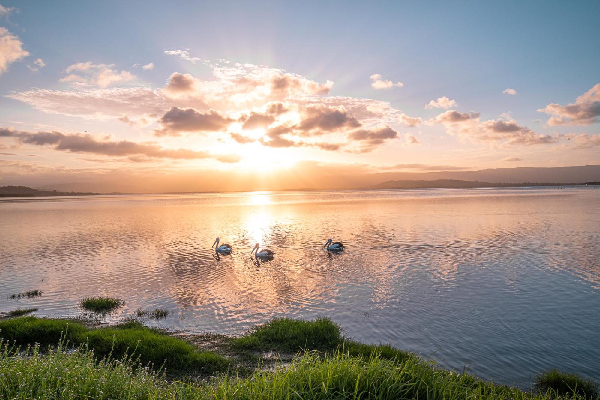 Lakeside Inn Wollongong Primbee Εξωτερικό φωτογραφία